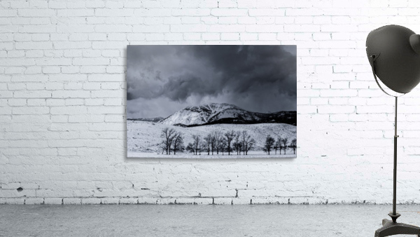 Winters shadow on Mt. Rose Wall Preview