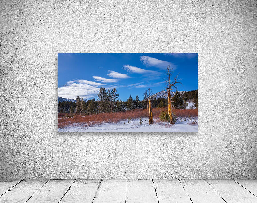 Interesting Clouds Wall Preview