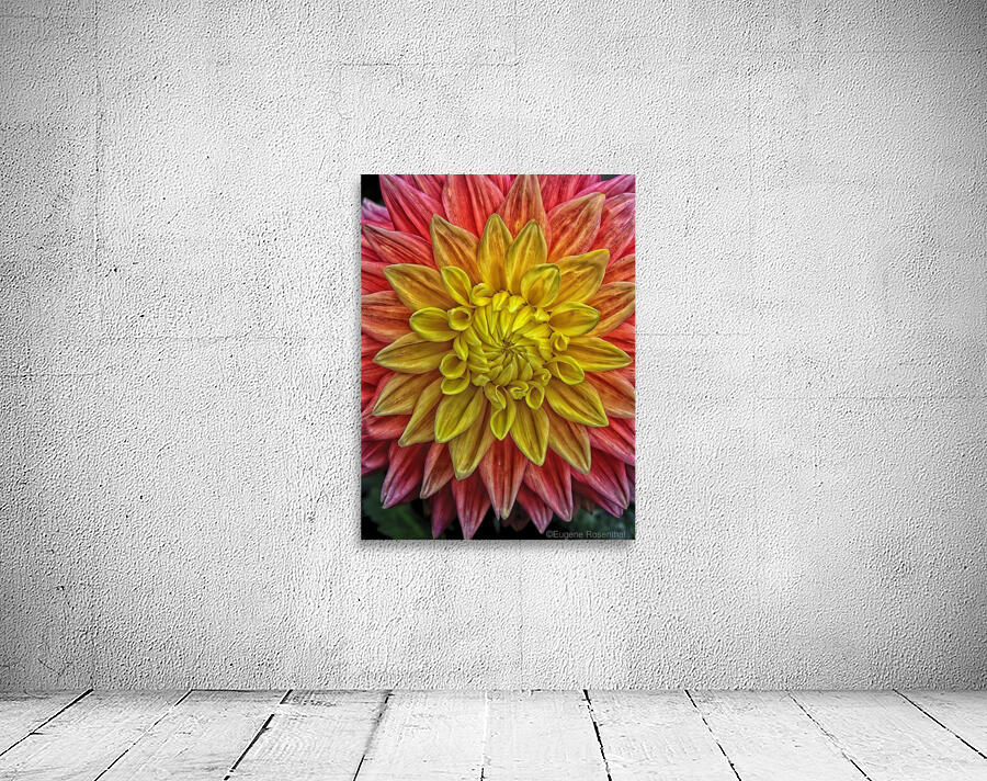 carnival Wall Preview