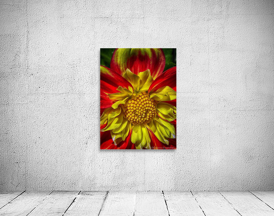 victorian lady Wall Preview