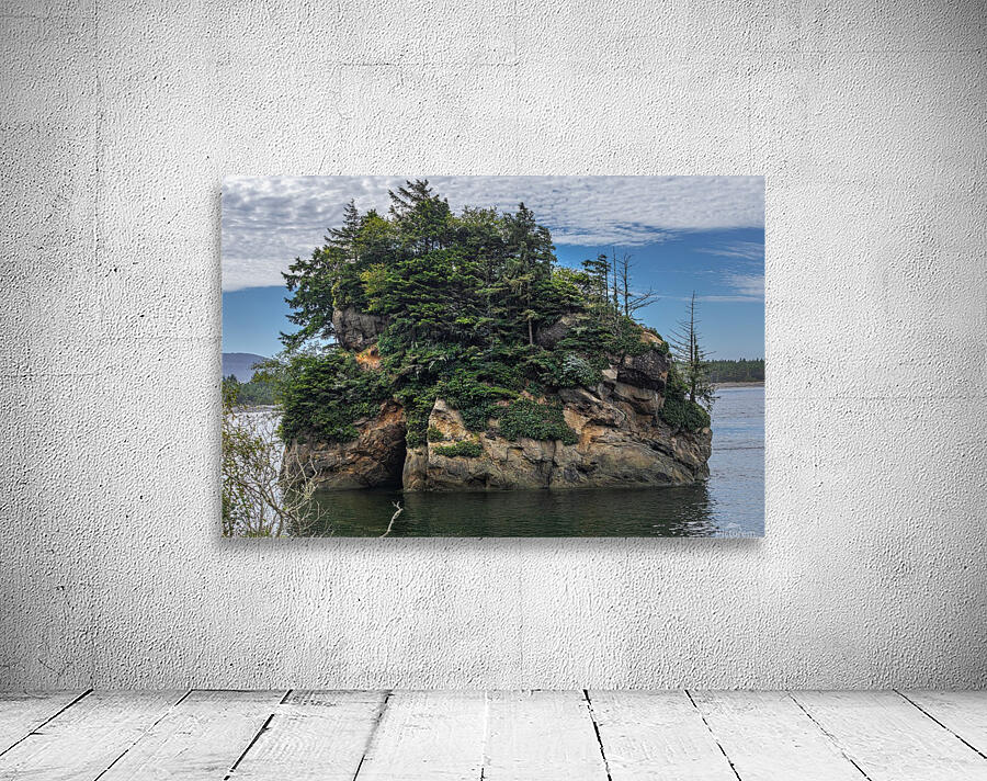 Oregon Coast 4 by Nicholas