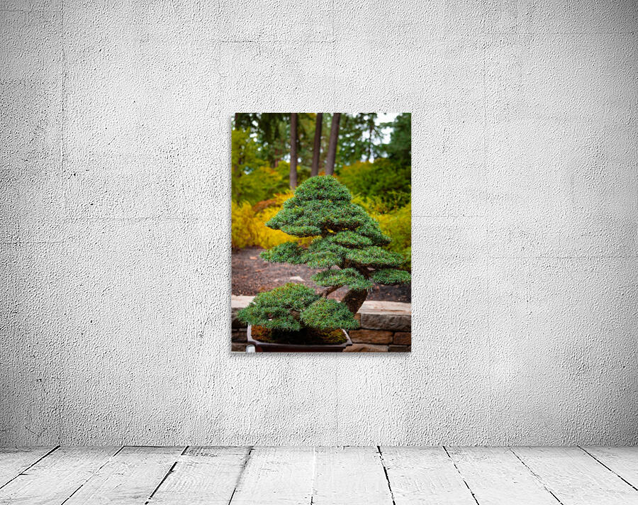 Japanese Garden Bonzai Portland  by Nicholas