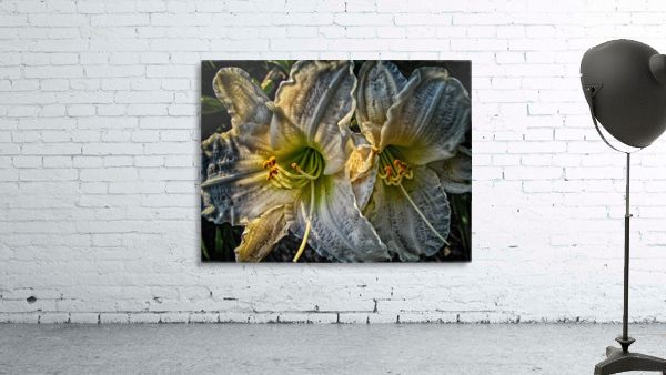 flower seven Wall Preview