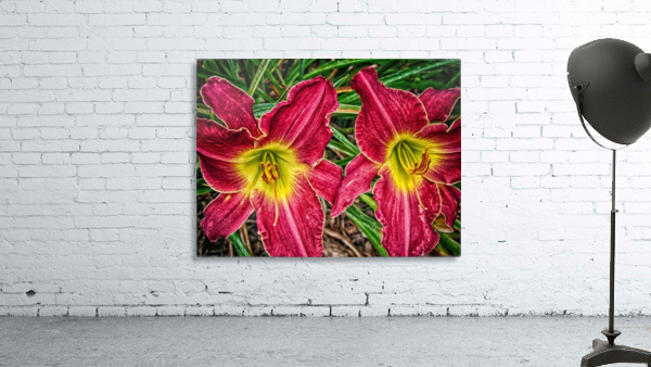 flower three Wall Preview