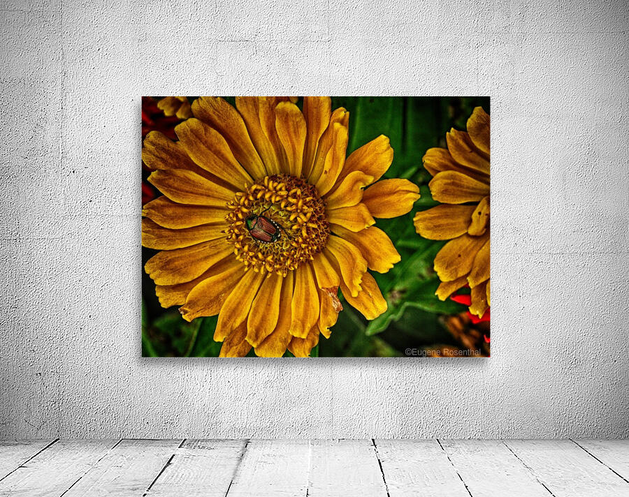 little bug Wall Preview