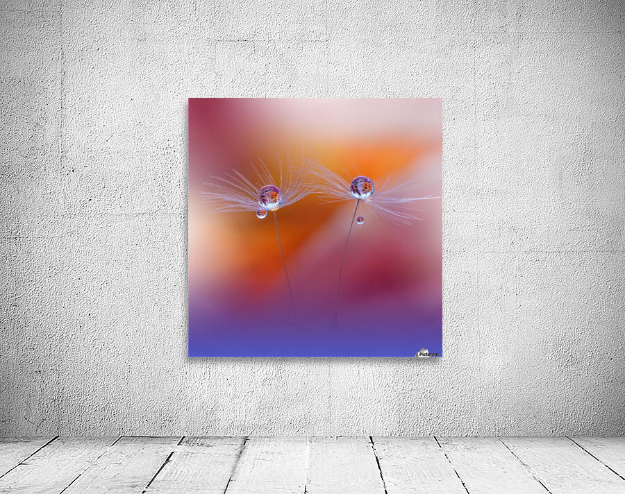 Two Worlds by Juliana Nan  Wall Preview