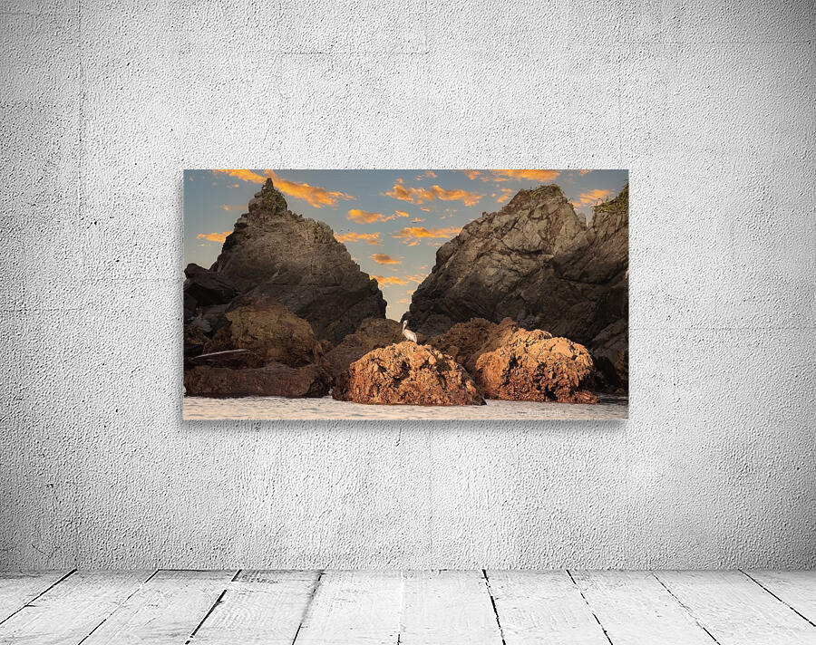 Pelican at Dawn Wall Preview