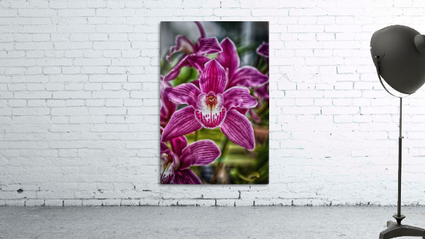 flower 12 Wall Preview