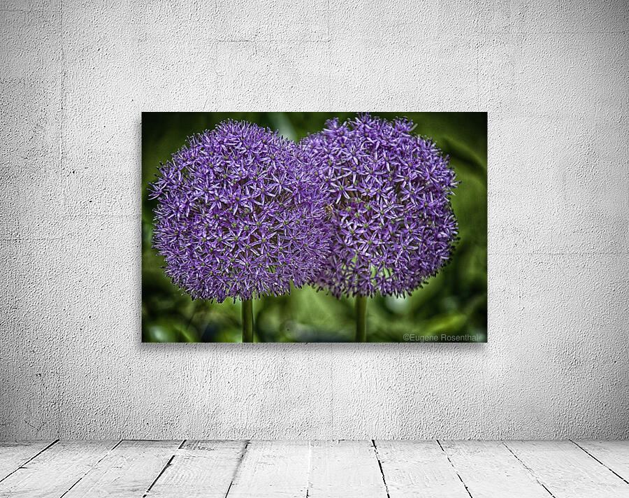 flower 13 Wall Preview