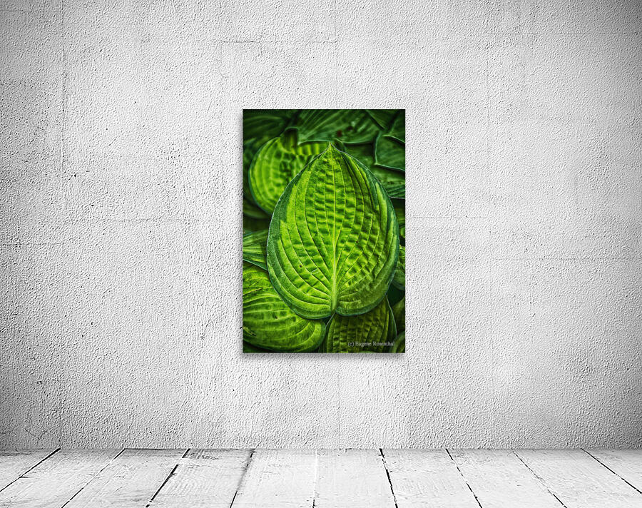 green leaves Wall Preview