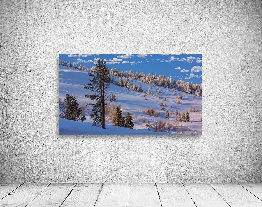 Blue Snow Wall Preview