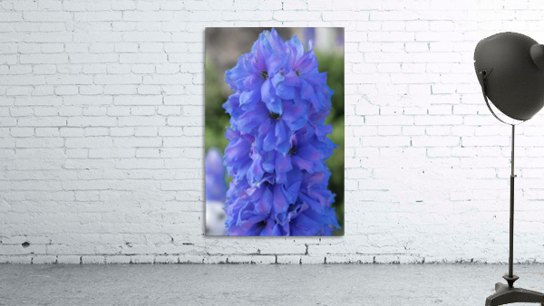 20190506 DSC 0244 Wall Preview