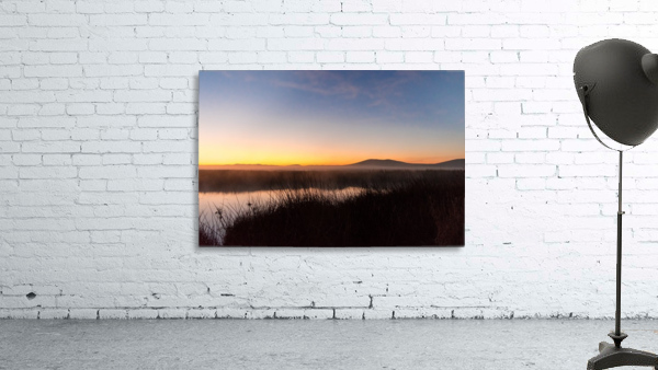 20200110 DSC 0144 Wall Preview