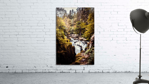 20190918 DSC 0267 4 Wall Preview