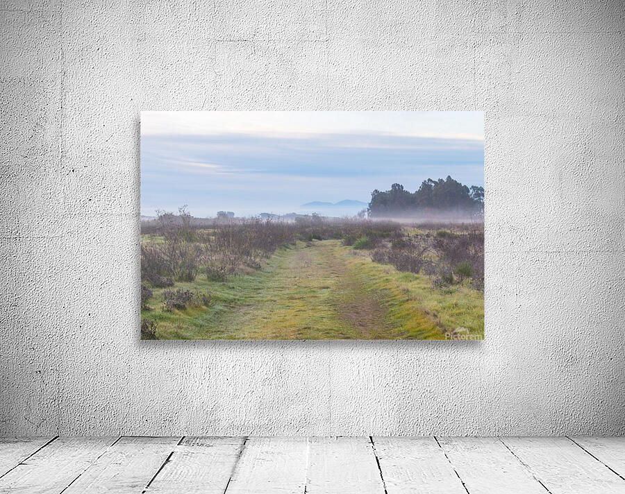 20200118 DSC 0111 Wall Preview