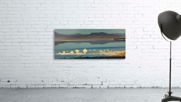 Mono Lake Tufa in Blue Wall Preview