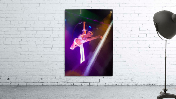 Cirque Le Noir Aerial Ring Close Oil Wall Preview