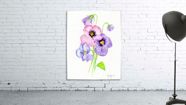 Pansy Wall Preview