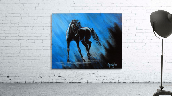 Midnight Blue  Wall Preview