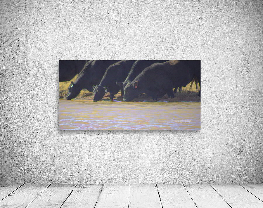 Watering Hole Wall Preview