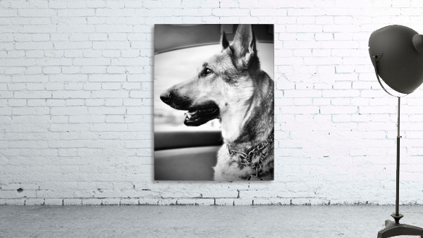 Wolf Child Wall Preview