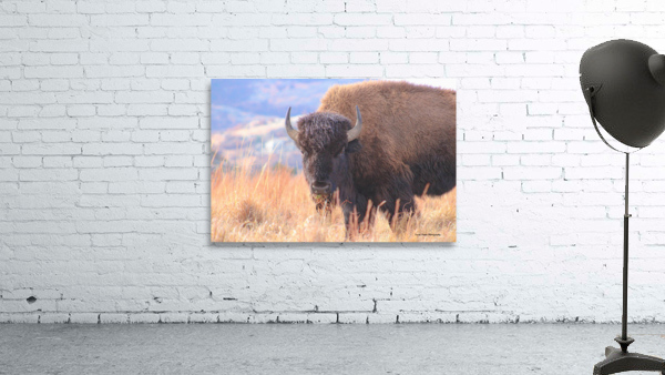 Mouthfull Wall Preview