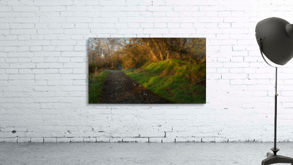 Morning Walk Wall Preview