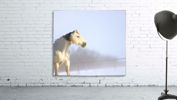 Snow White Aperçu sur mur