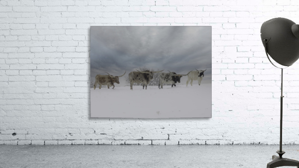 Longhorns Wall Preview