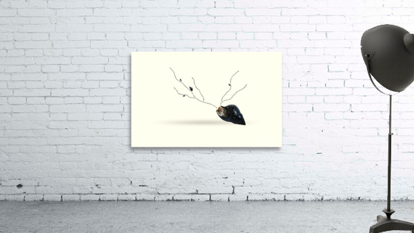 Cerebration  Existential Inspiration: Discovering the Meaning of Life  Wall Preview