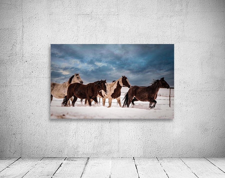 Wild Horses Wall Preview