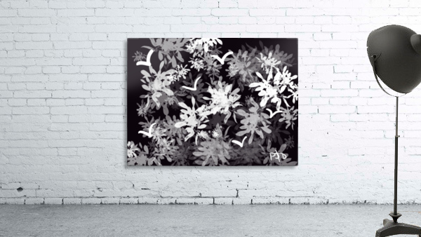 Black & White World Wall Preview