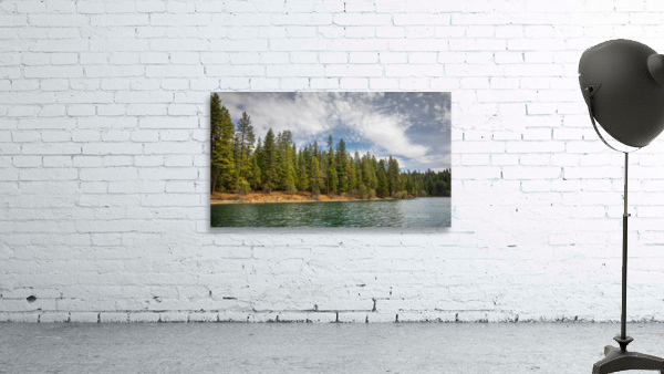 Trees of Lake Britton Wall Preview