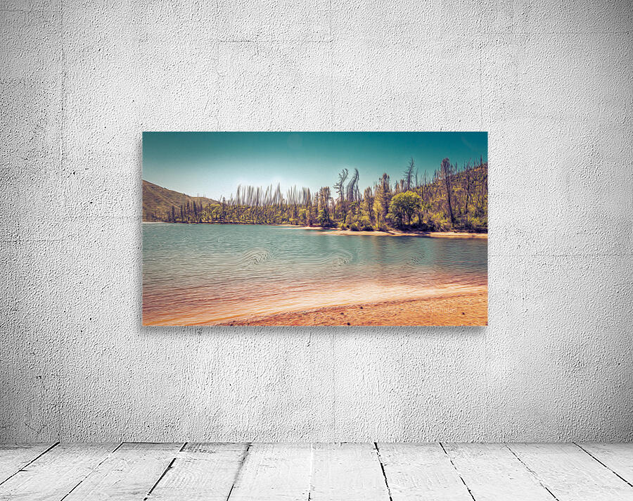 Too Much Whiskey Wall Preview