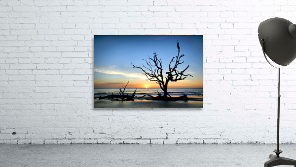 Iconic Tree Sunrise at Driftwood Beach Jekyll Island Wall Preview
