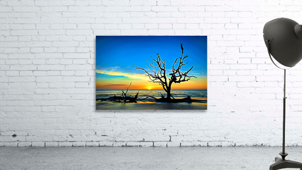 Iconic Tree Sunrise Driftwood Beach Expressionism Wall Preview