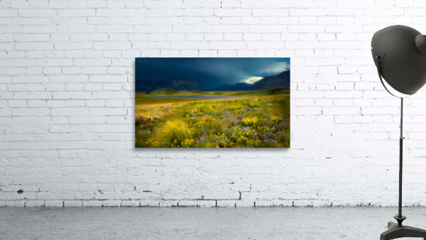 The Apocalypse Wall Preview