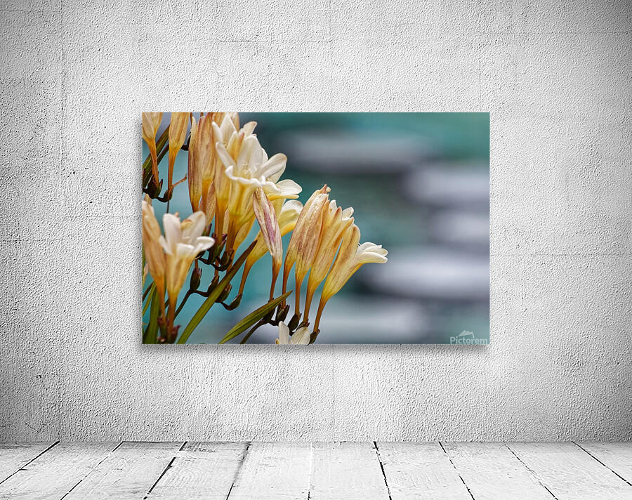 20210414IMG 8058 Wall Preview