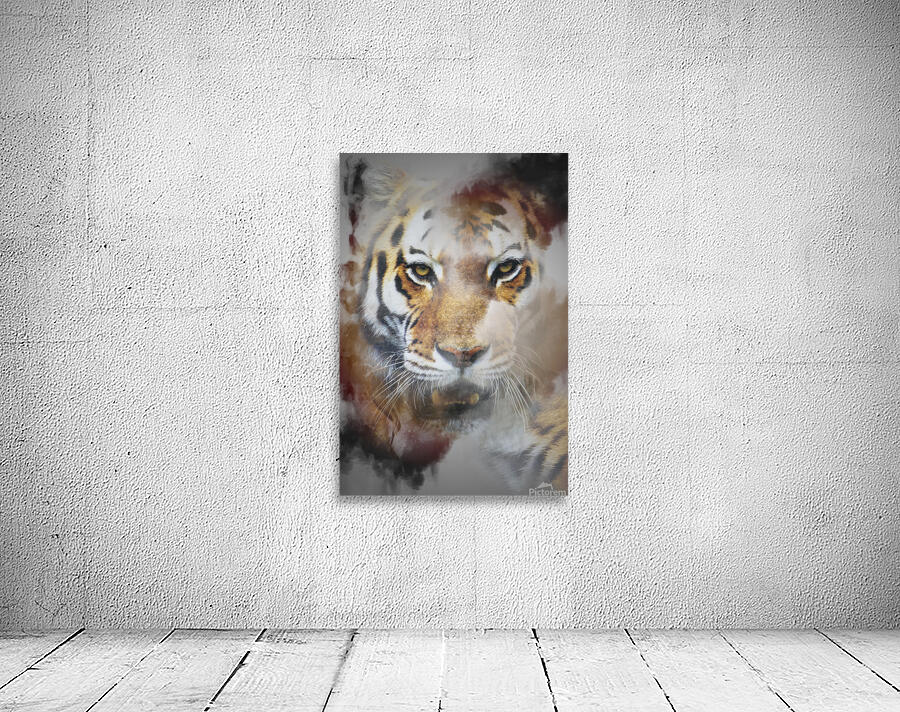 Tigre by Photobec