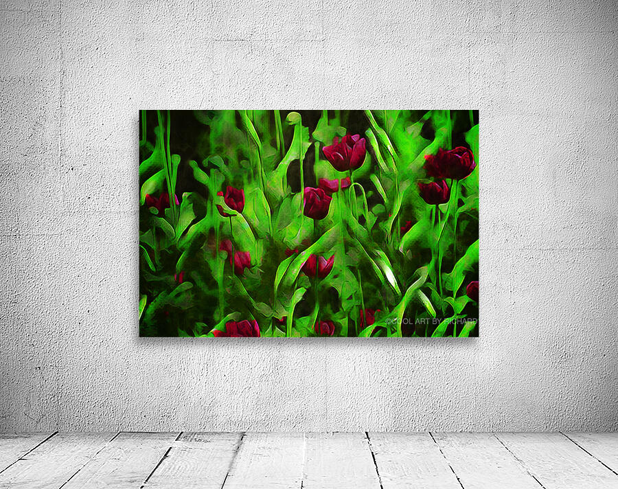 Poppies by COOL ART BY RICHARD