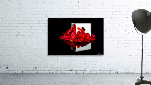 Rose Petals Wall Preview