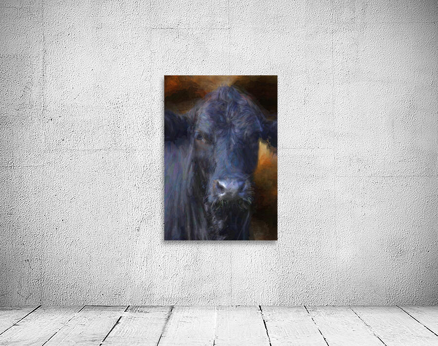 Black Angus Portrait  Wall Preview