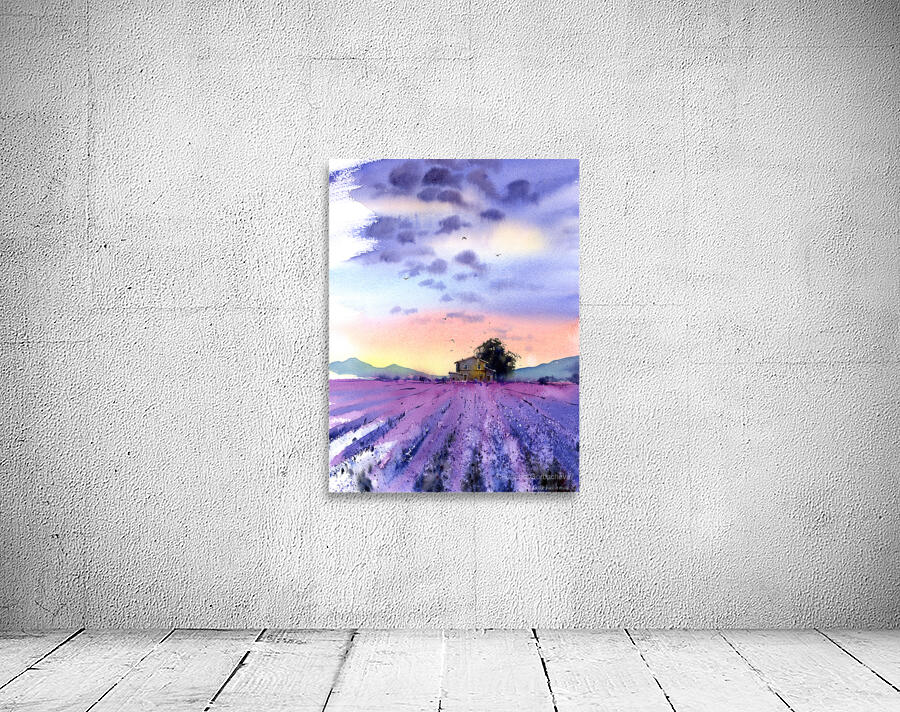 Lavender field by Eugenia Gorbacheva