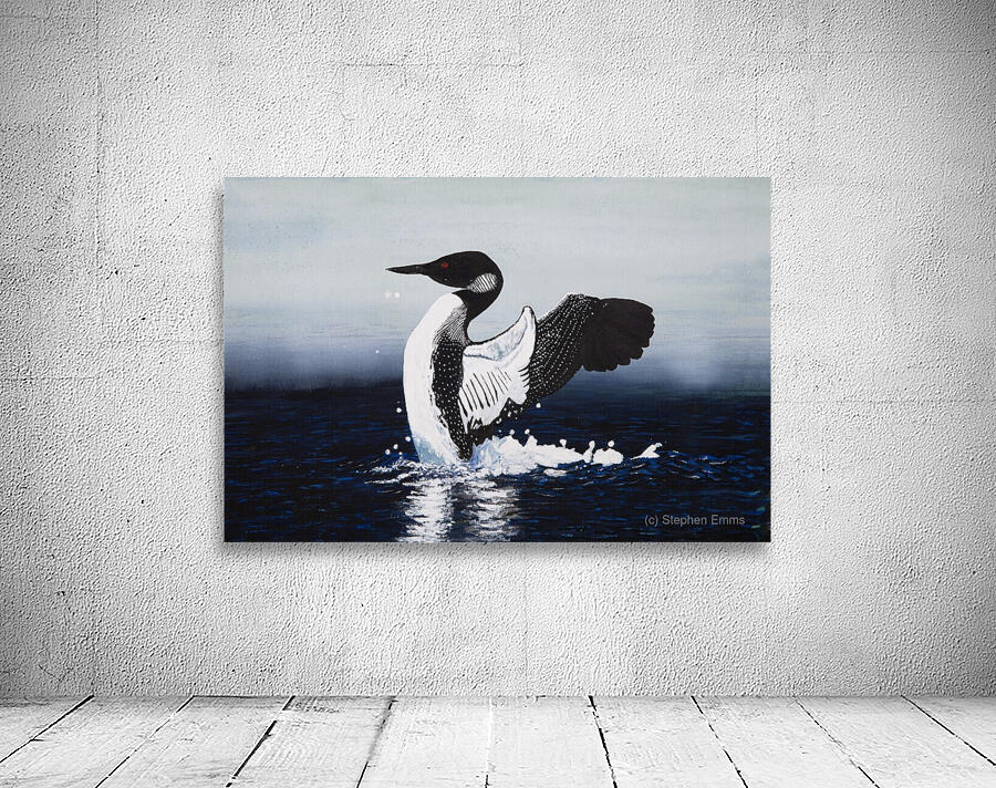 Common Loon Painting Wall Preview