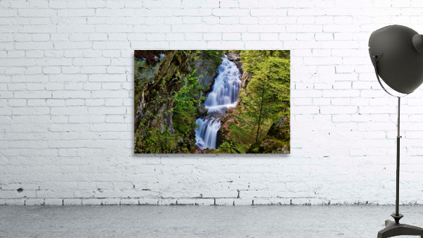 Crystal Waters  Wall Preview