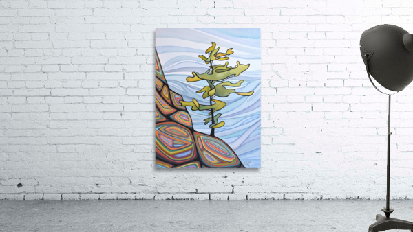 Rainbow Rocks 1 by Katelynn Clarey