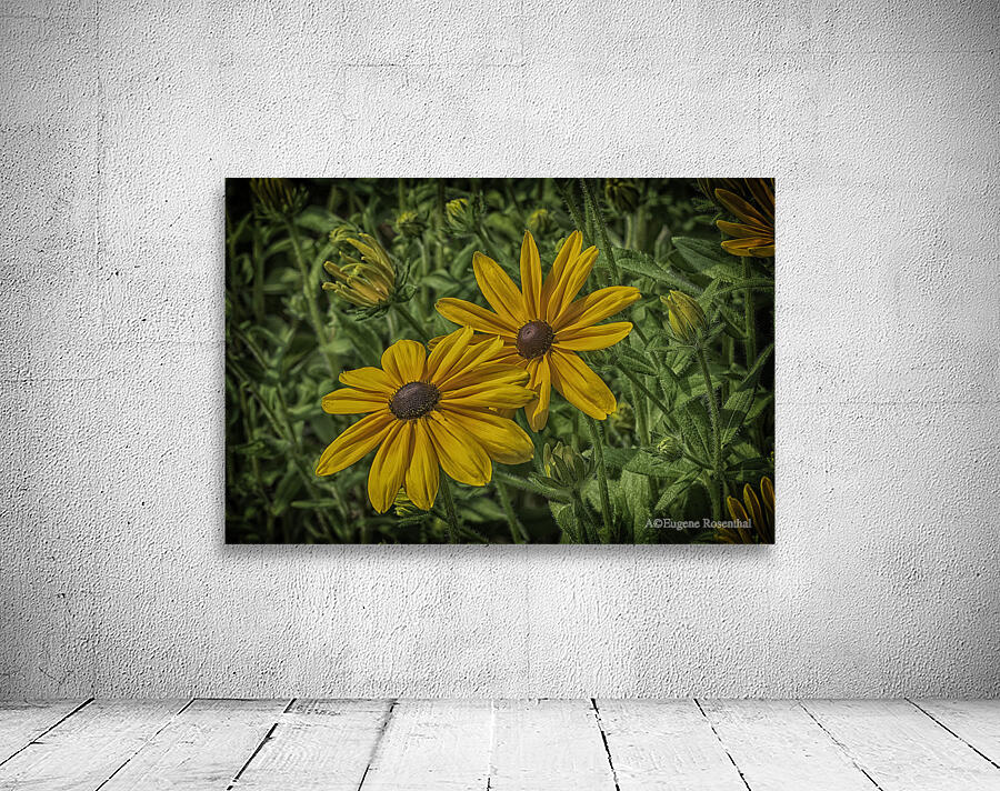 partners Wall Preview