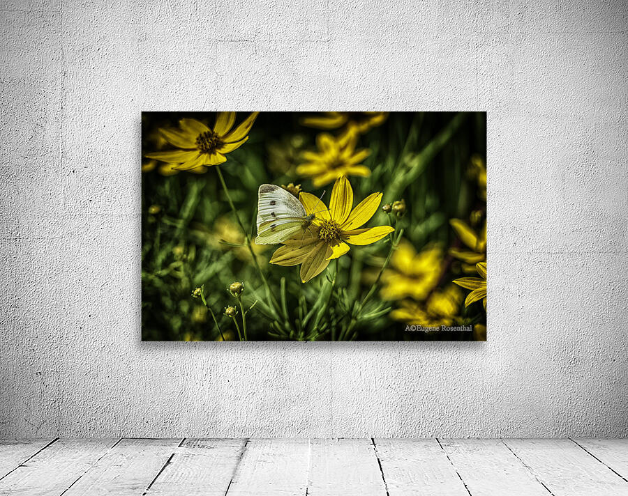 visitor Wall Preview