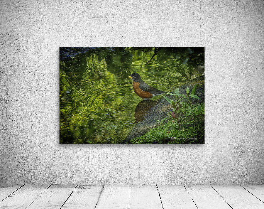 the messenger Wall Preview