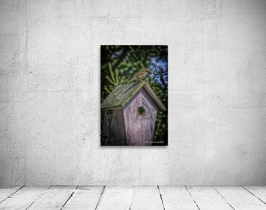 nesting Wall Preview